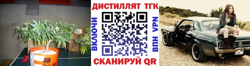 ТГК жижа  Болотное 