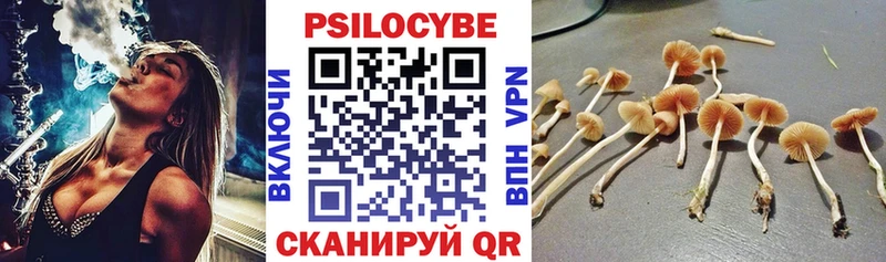 Галлюциногенные грибы Magic Shrooms  Болотное 